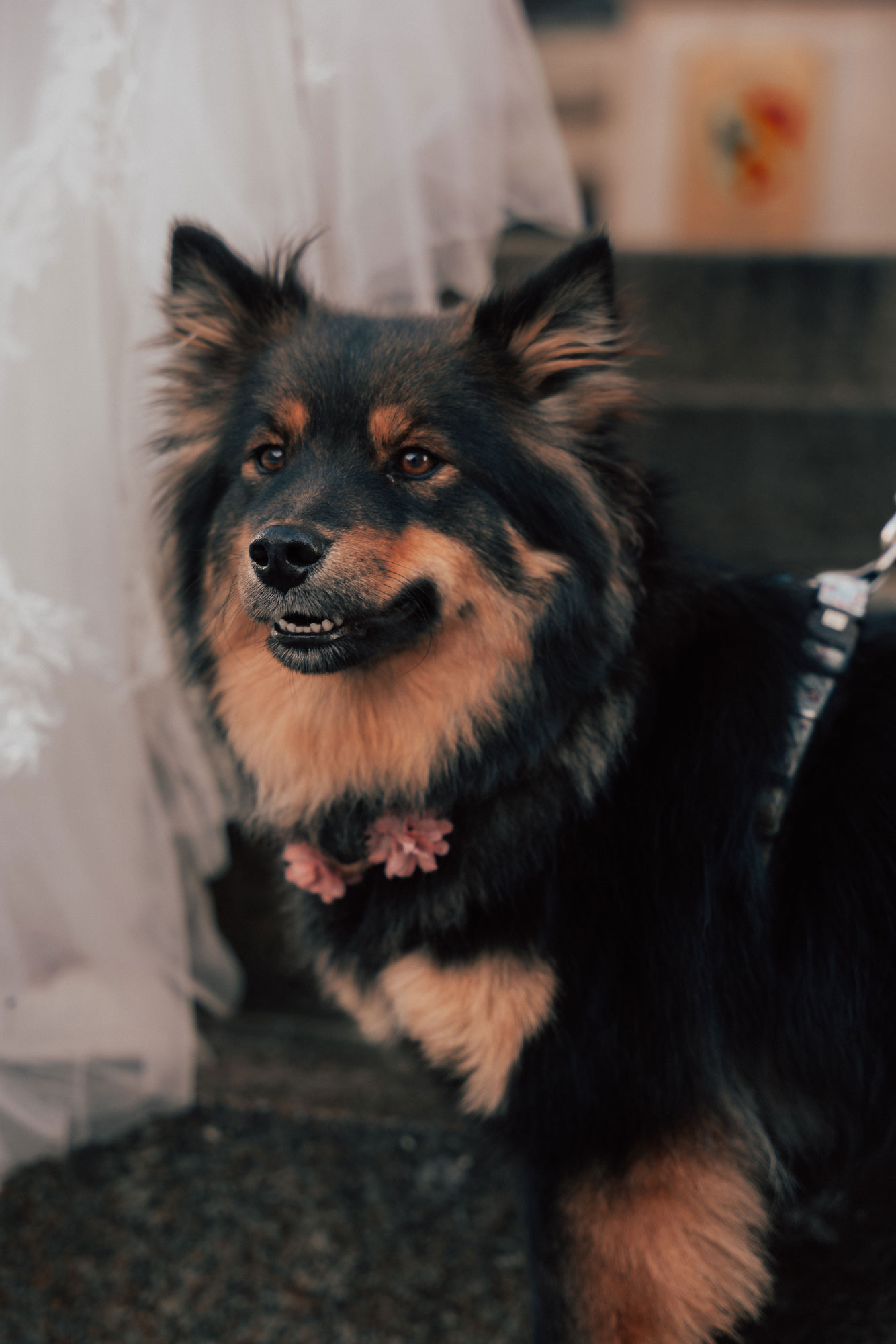 Fabio_Arnold_Wedding_J+R_06